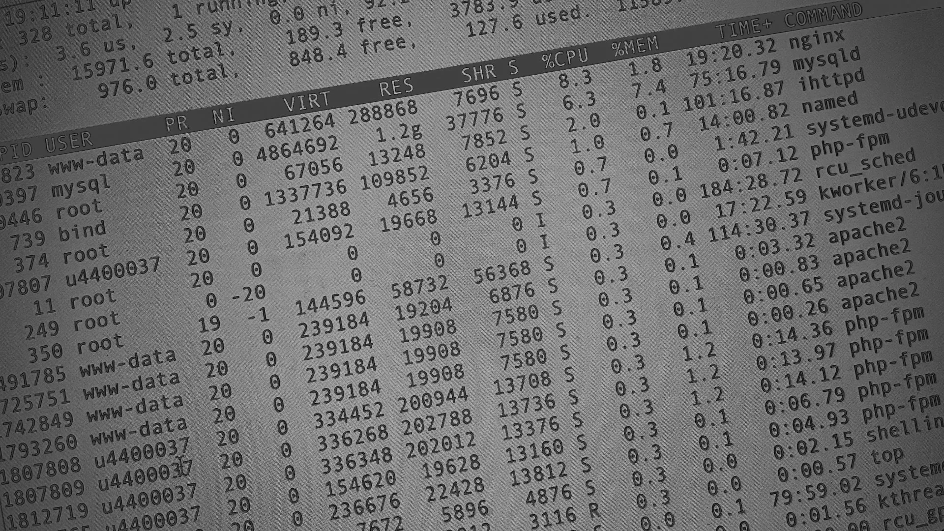 Настройка сервера в Волгореченске