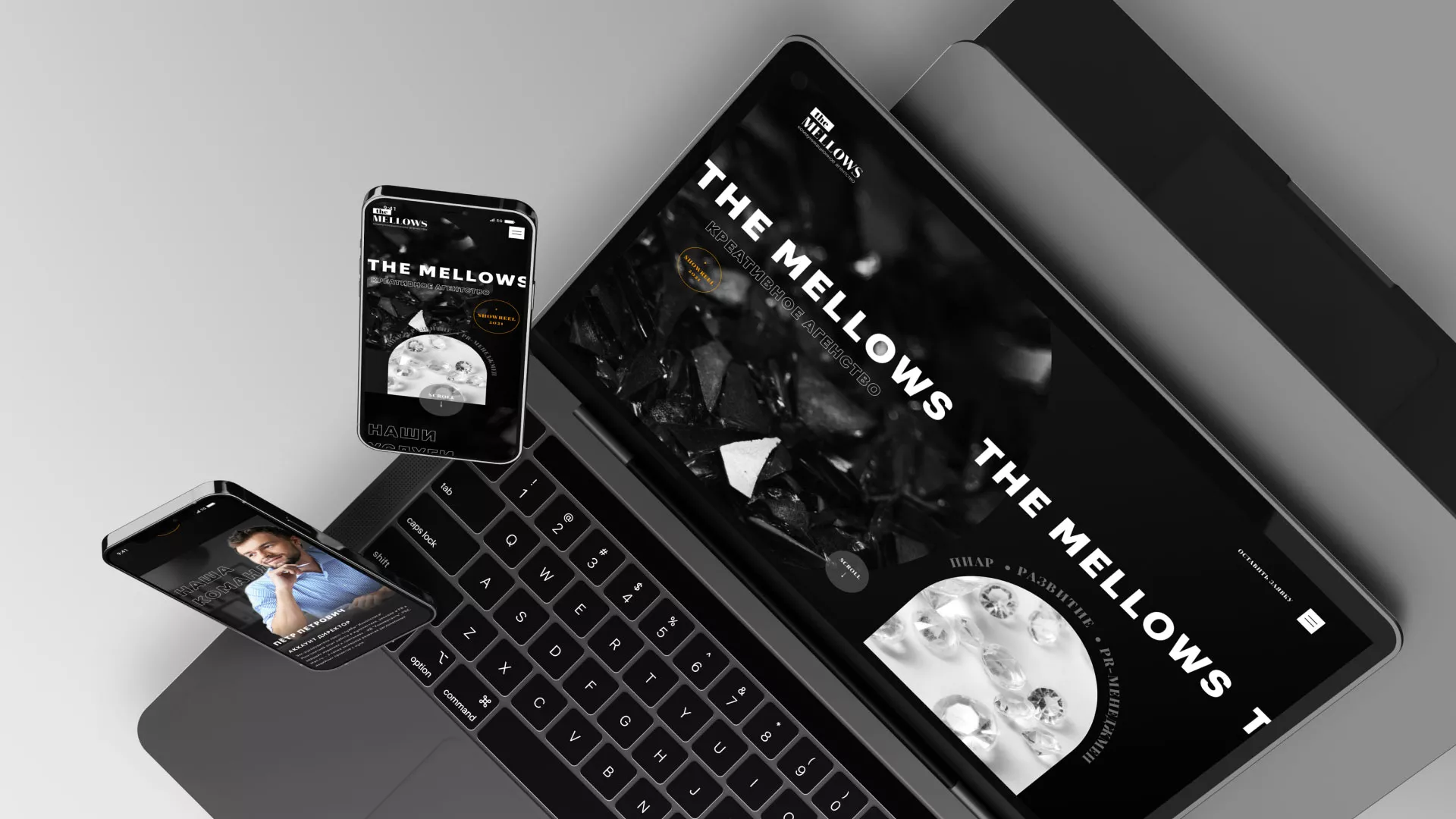 Разработка сайта креативного агентства «The Mellows» в Волгореченске