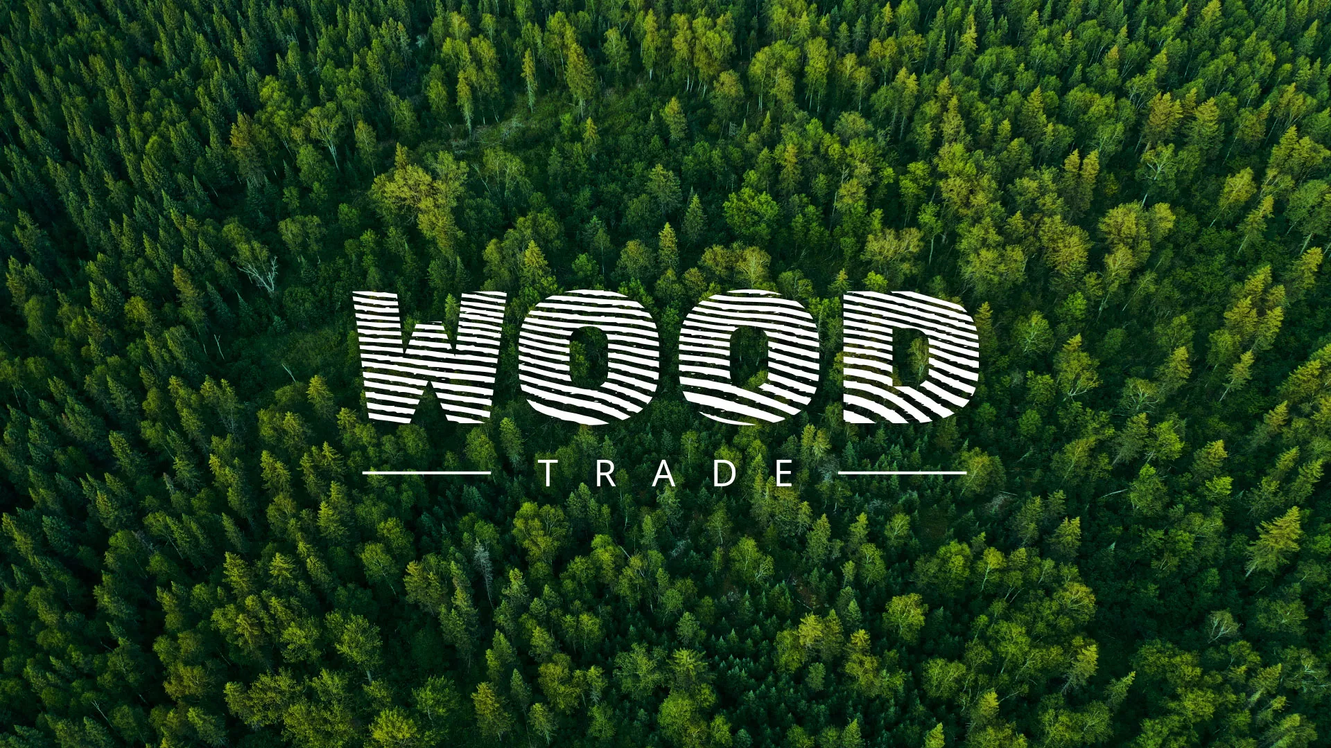 Разработка интернет-магазина компании «Wood Trade» в Волгореченске