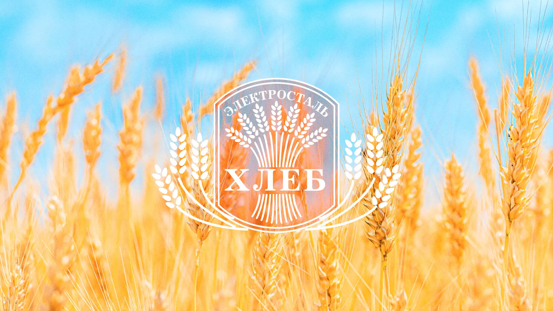 Создание сайта для хлебзавода в Волгореченске